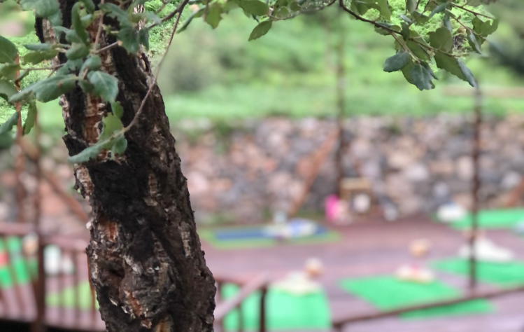 yoga classes yoga retreat monchique algarve portugal